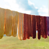 natural dyes collection - book - Image 2
