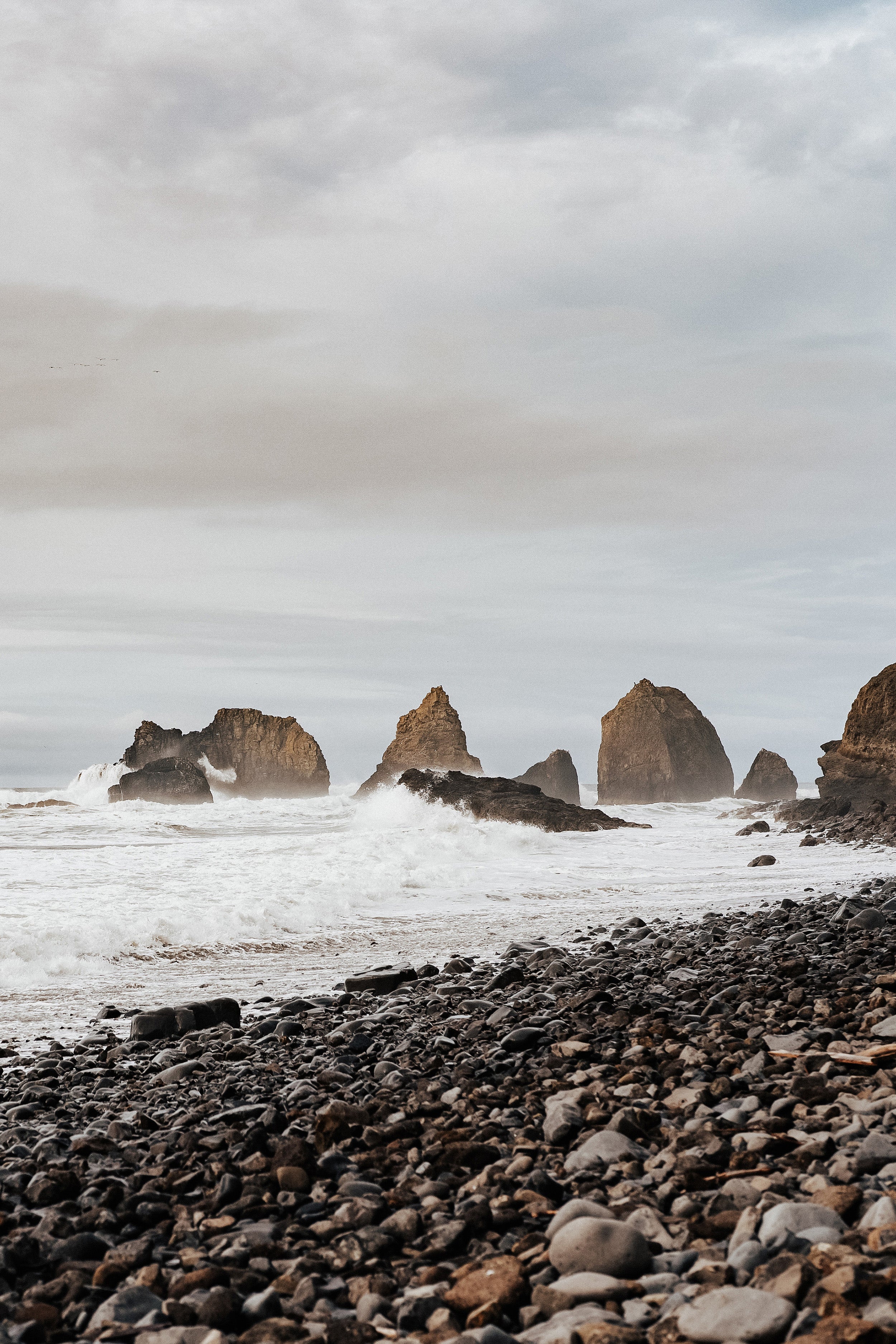 Salt & Timber Quince & Co.