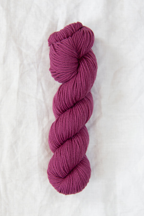 sorbet