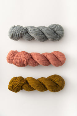saturniidae sock maker kit