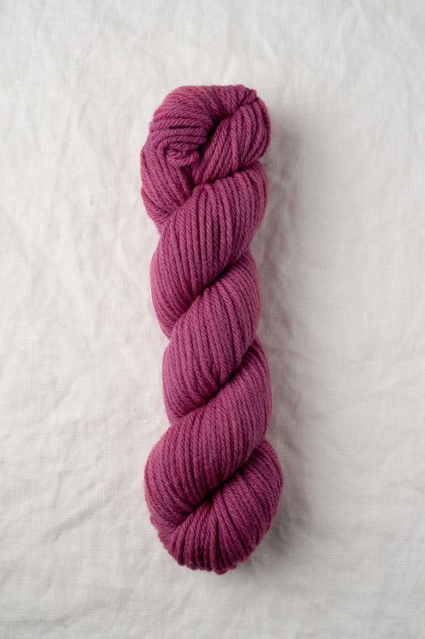 sorbet