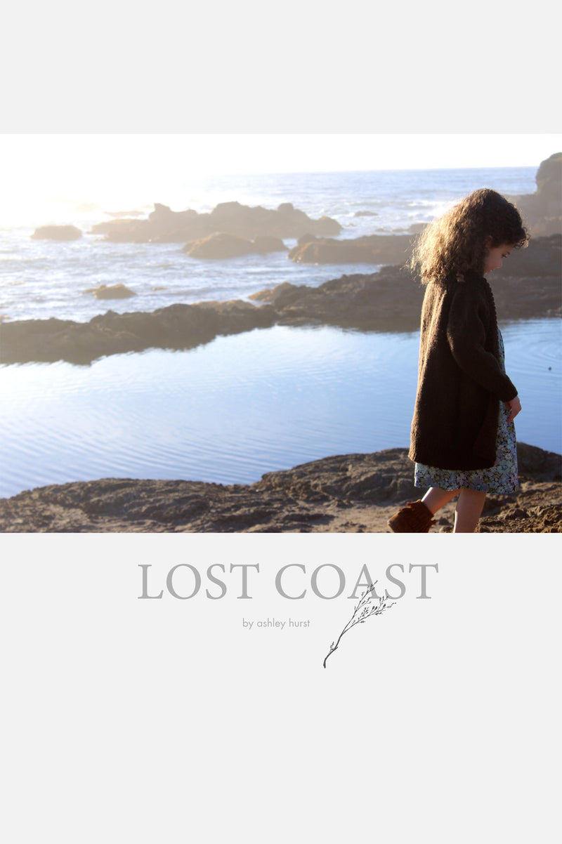 lost coast - book - Image 1